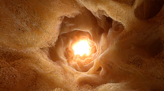 Mehmet Akif Karaman 2022 Advertising Reel